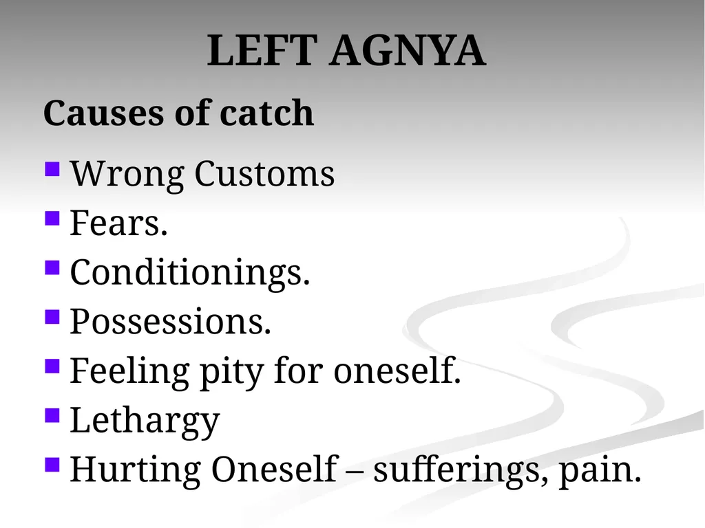 AGNYA CORRESPONDENCES Number of petals: Two. Star: - slide 22 of 25