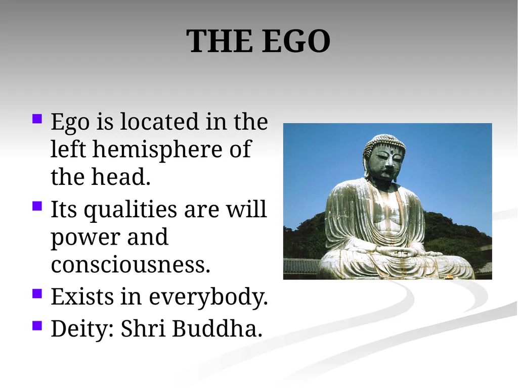 AGNYA CORRESPONDENCES Number of petals: Two. Star: - slide 10 of 25