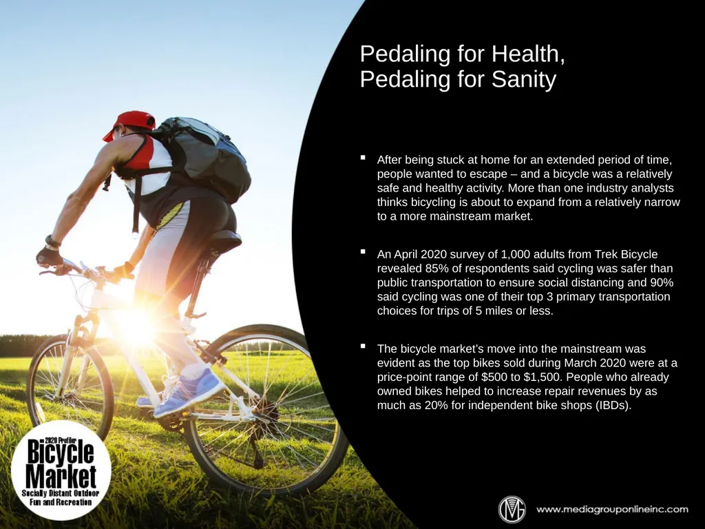 Bike Sales Receives Large Boost from Pandemic The - slide 3 of 10