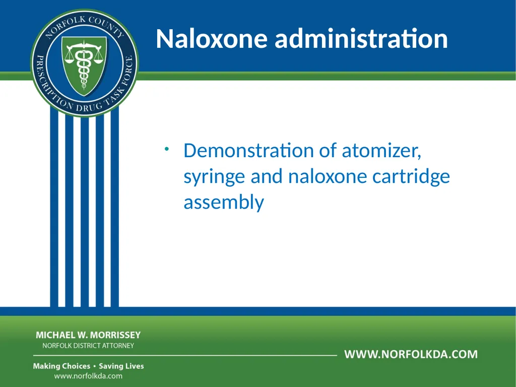 Overdose Response Training Dave Morgan, RPh Safe - slide 28 of 36
