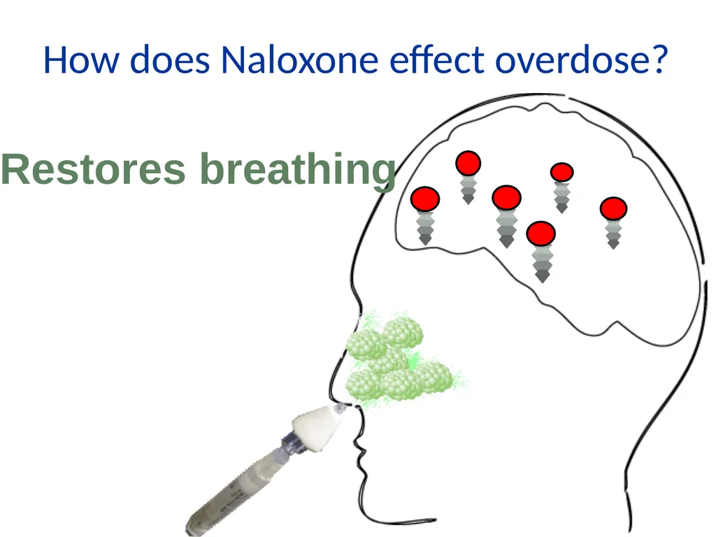 Overdose Response Training Dave Morgan, RPh Safe - slide 16 of 36