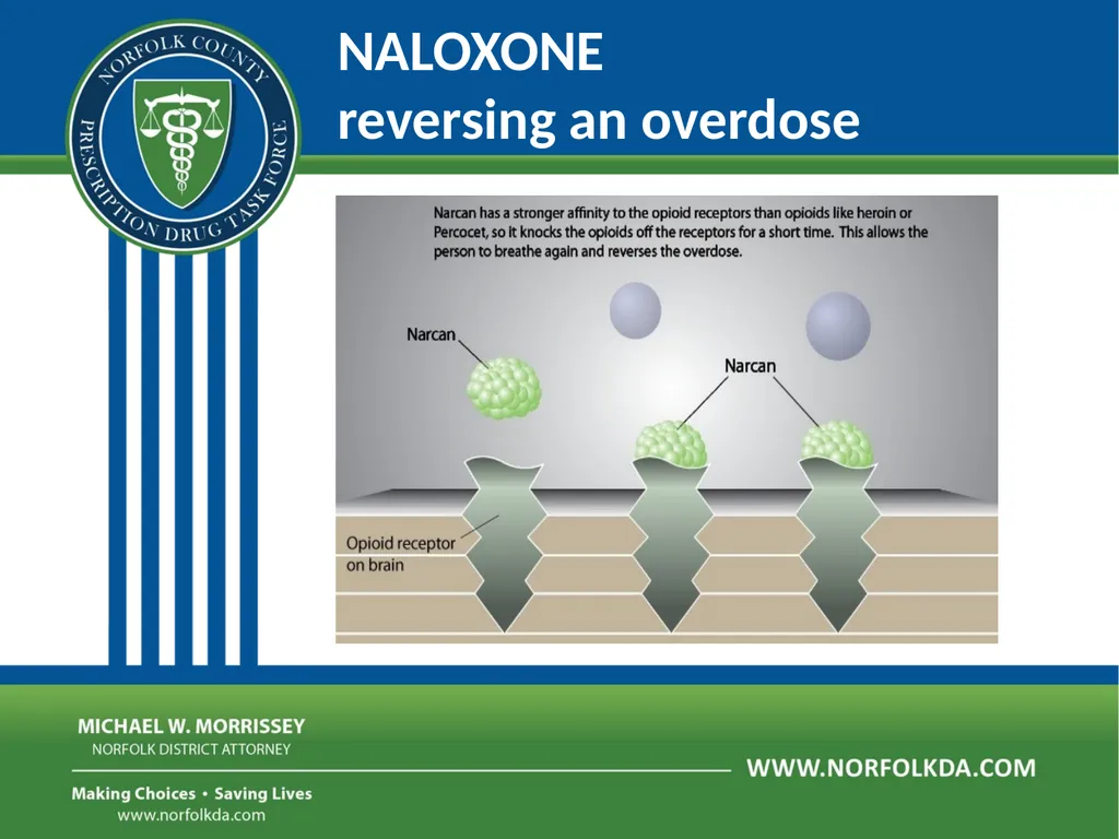 Overdose Response Training Dave Morgan, RPh Safe - slide 17 of 36