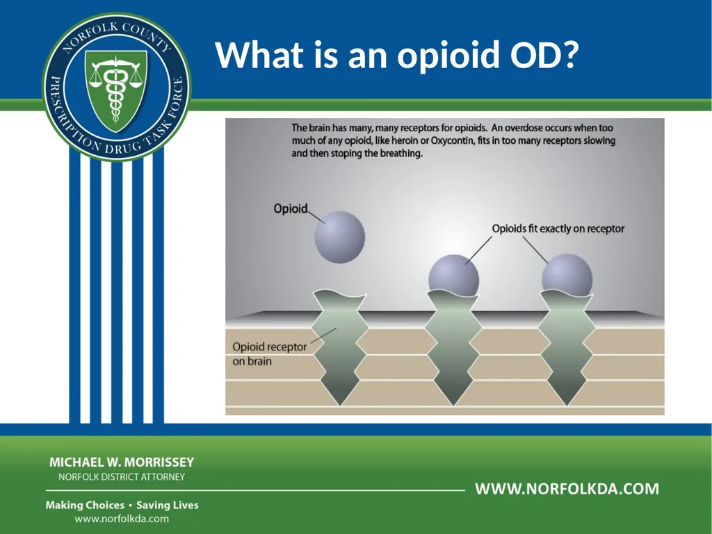 Overdose Response Training Dave Morgan, RPh Safe - slide 11 of 36