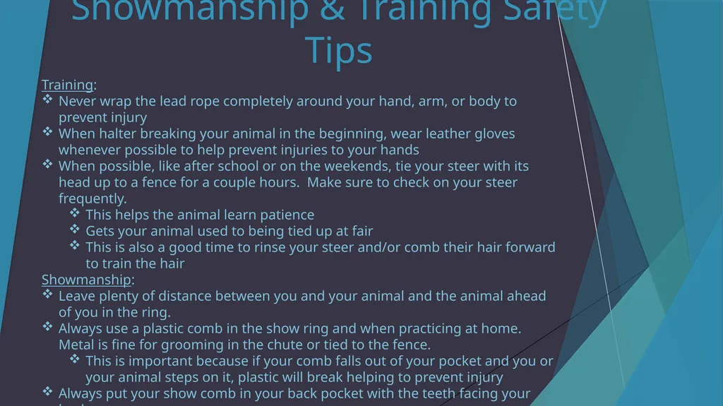 Dixon Ridge 4-H Halter Breaking/Training, - slide 2 of 10