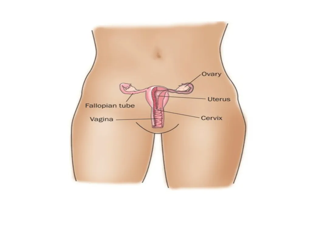 Endometriosis Dr Fulufhelo Tshivhula Specialist - slide 5 of 71