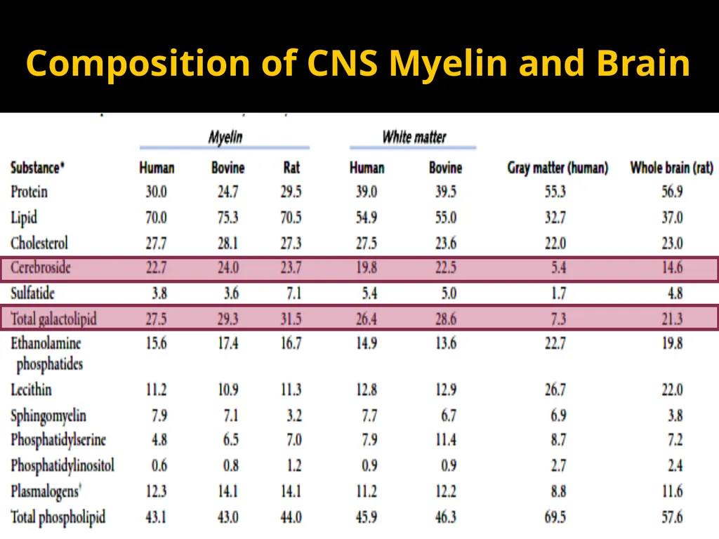 Brain Lipids Dr. Mohammed Vaseem Classification of - slide 18 of 23