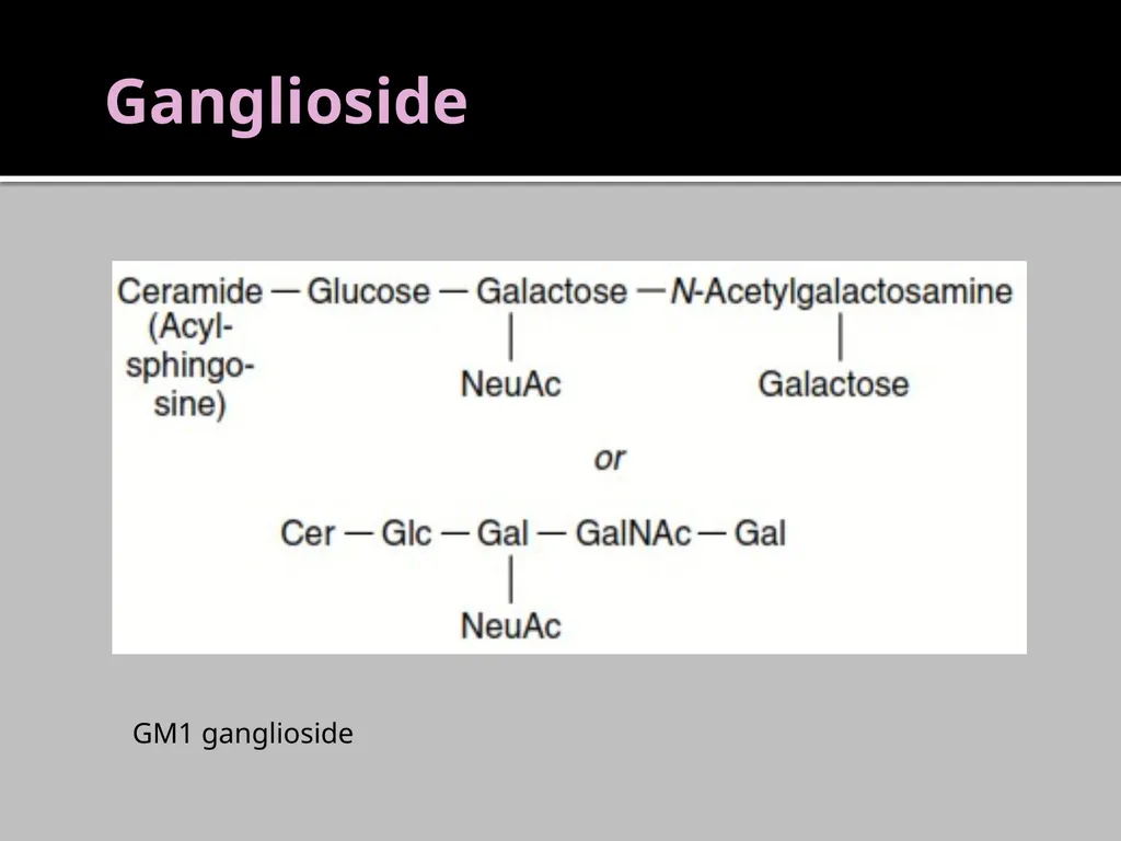 Brain Lipids Dr. Mohammed Vaseem Classification of - slide 10 of 23