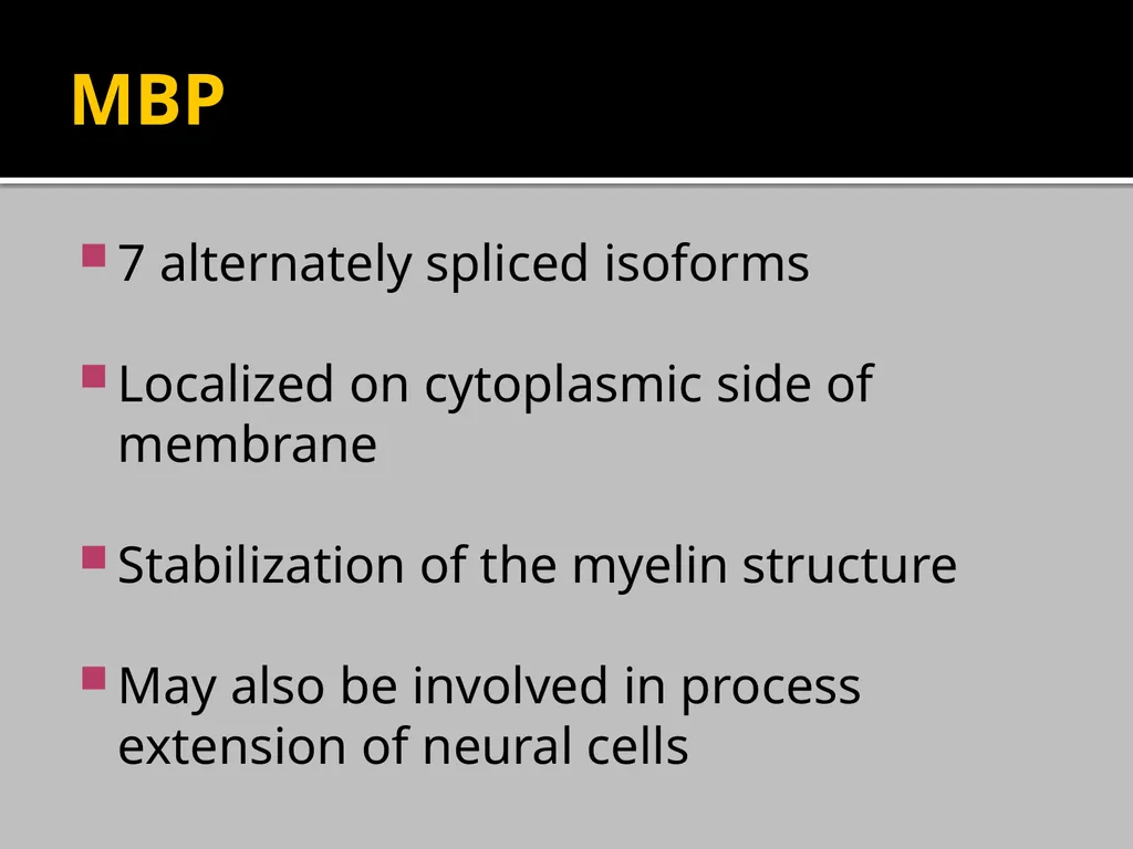 Brain Lipids Dr. Mohammed Vaseem Classification of - slide 21 of 23