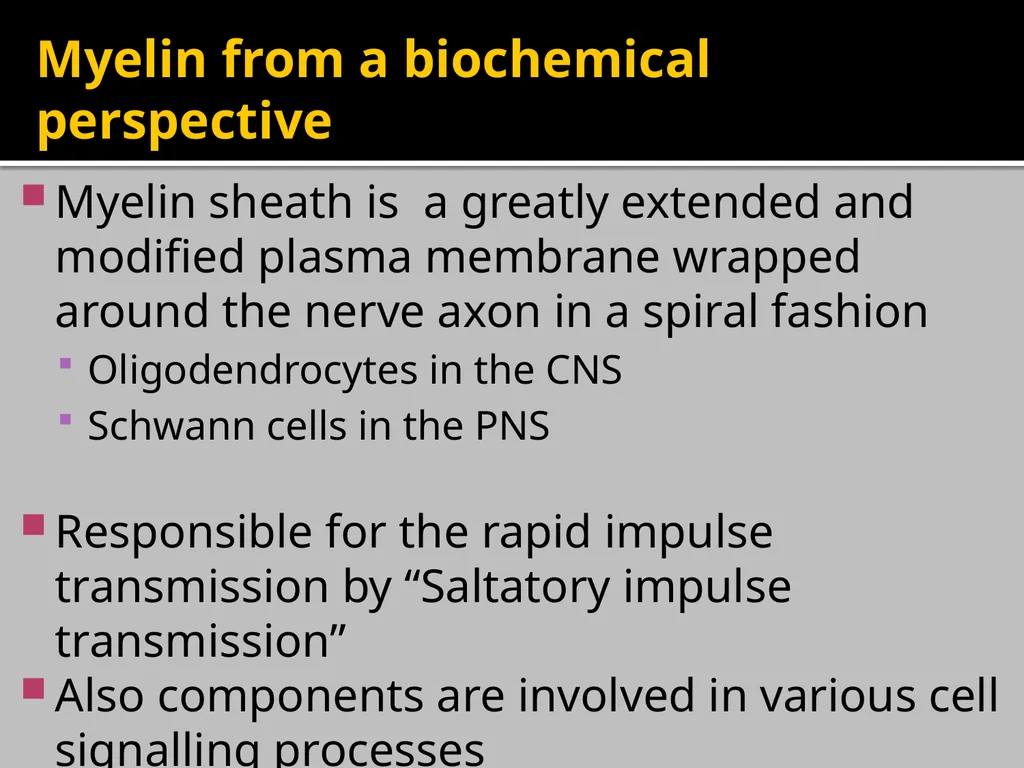 Brain Lipids Dr. Mohammed Vaseem Classification of - slide 14 of 23