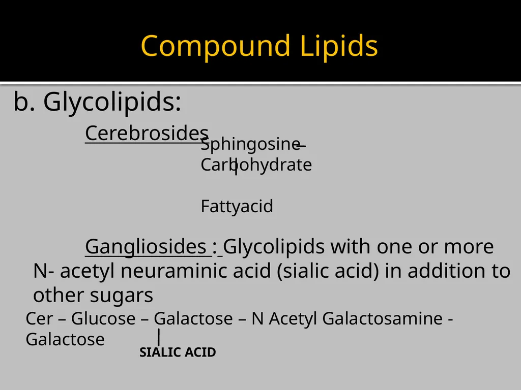 Brain Lipids Dr. Mohammed Vaseem Classification of - slide 8 of 23