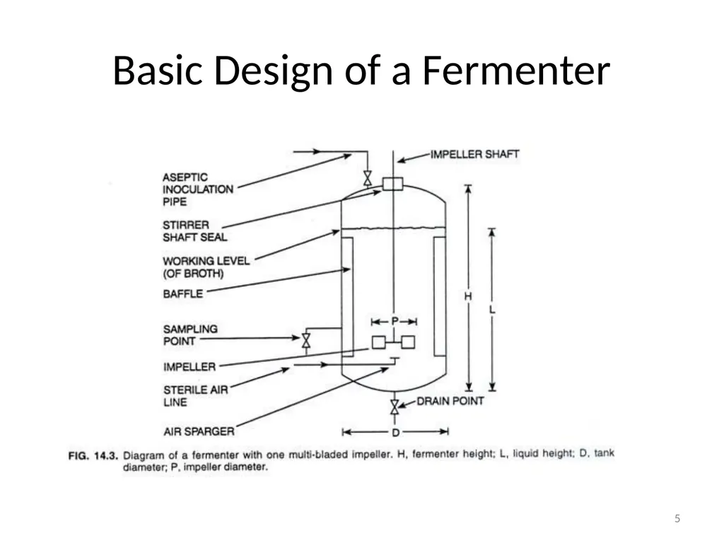 Lecture 5 Fermenter types FE308- Fermentation - slide 5 of 36
