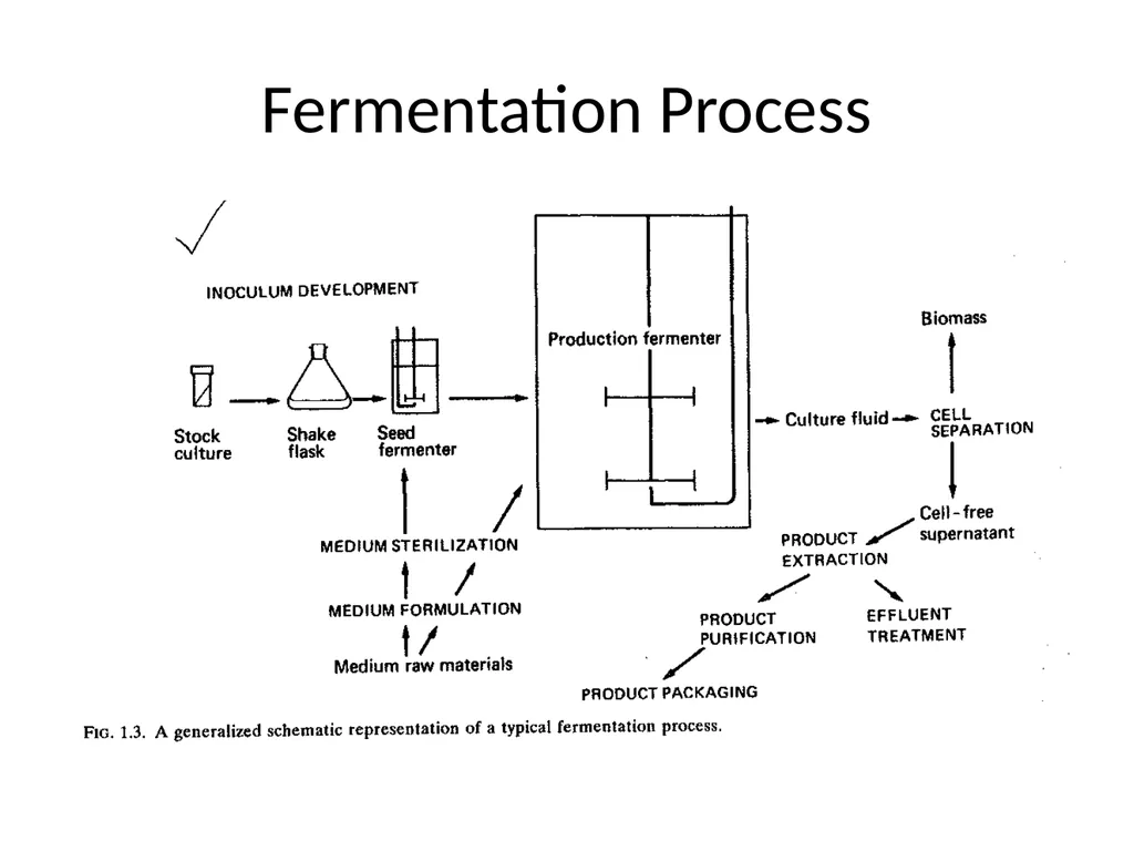 Lecture 5 Fermenter types FE308- Fermentation - slide 3 of 36