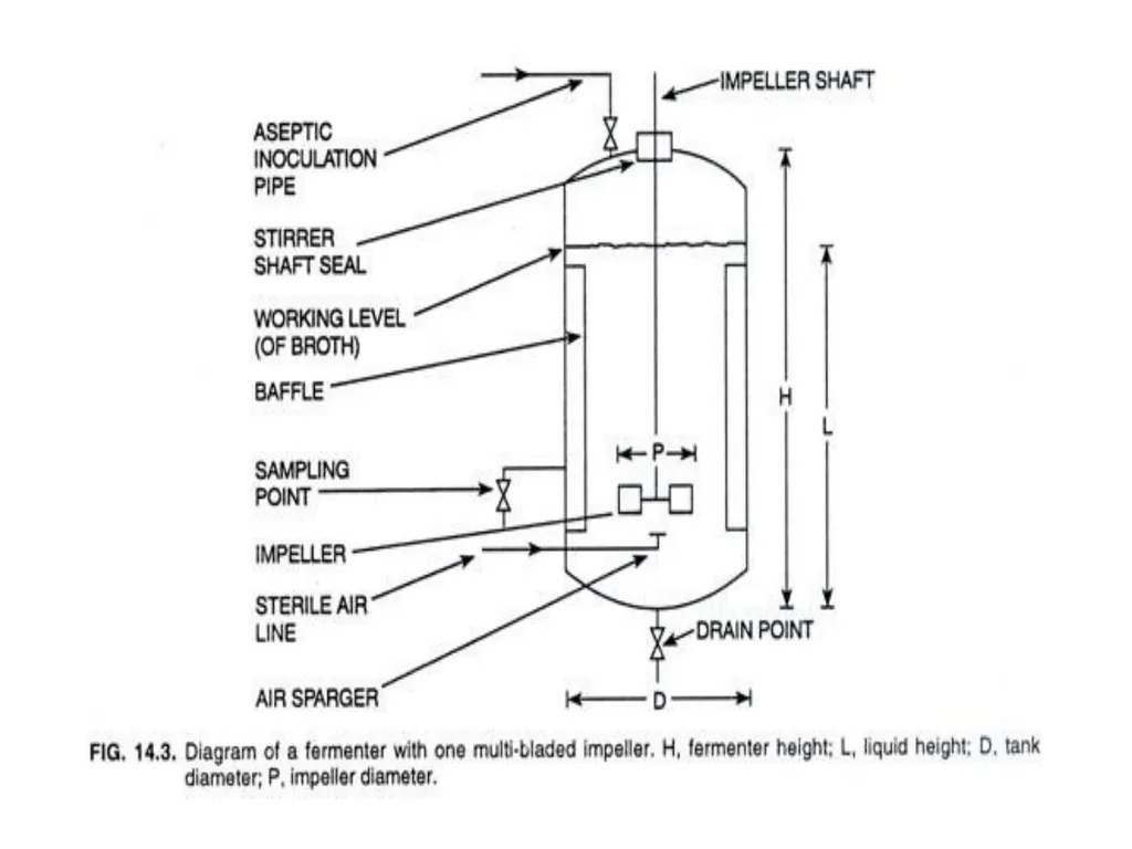 Lecture 5 Fermenter types FE308- Fermentation - slide 19 of 36