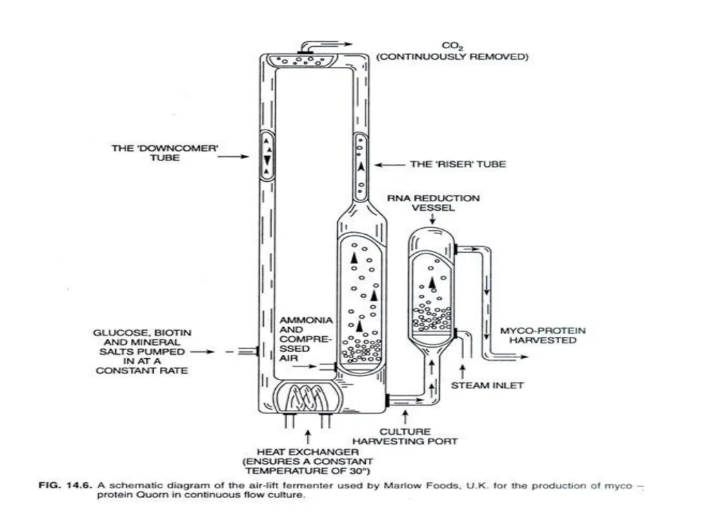 Lecture 5 Fermenter types FE308- Fermentation - slide 28 of 36