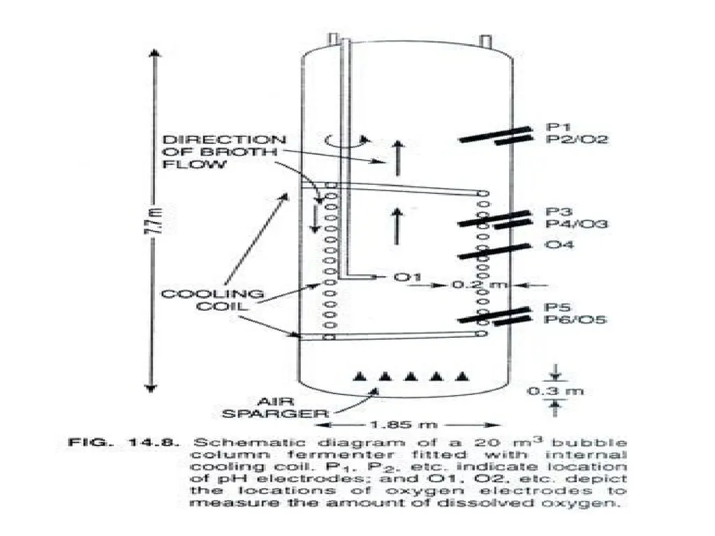 Lecture 5 Fermenter types FE308- Fermentation - slide 34 of 36