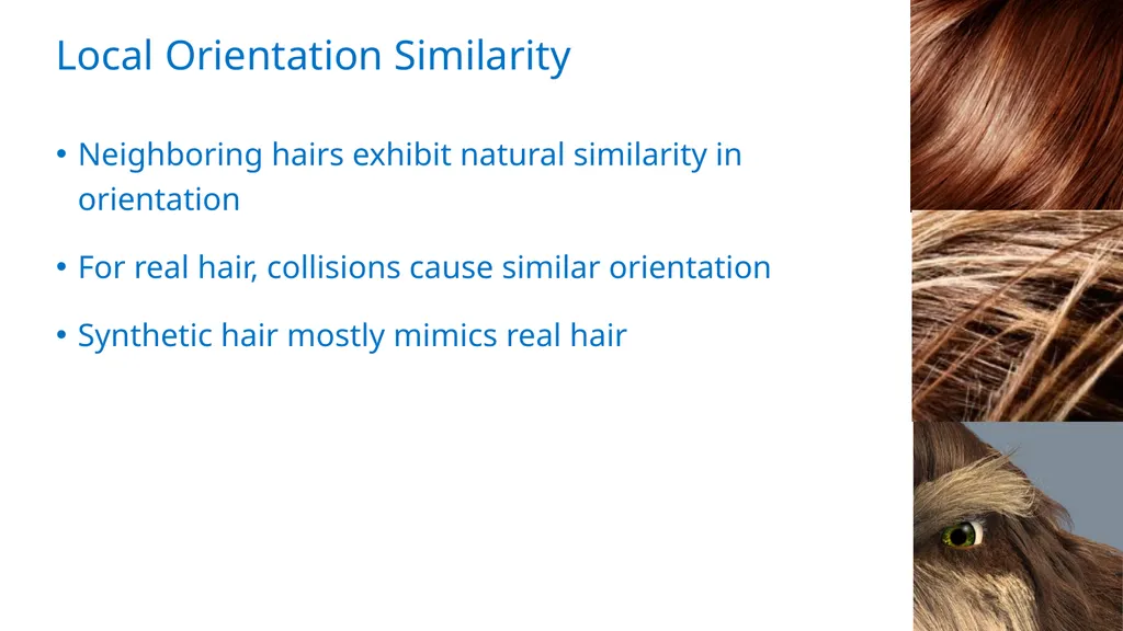 Exploiting Local Orientation Similarity for - slide 9 of 32