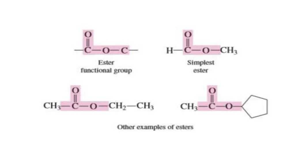 Compounds Containing A Carbonyl Group Dr.Entssar - slide 14 of 28