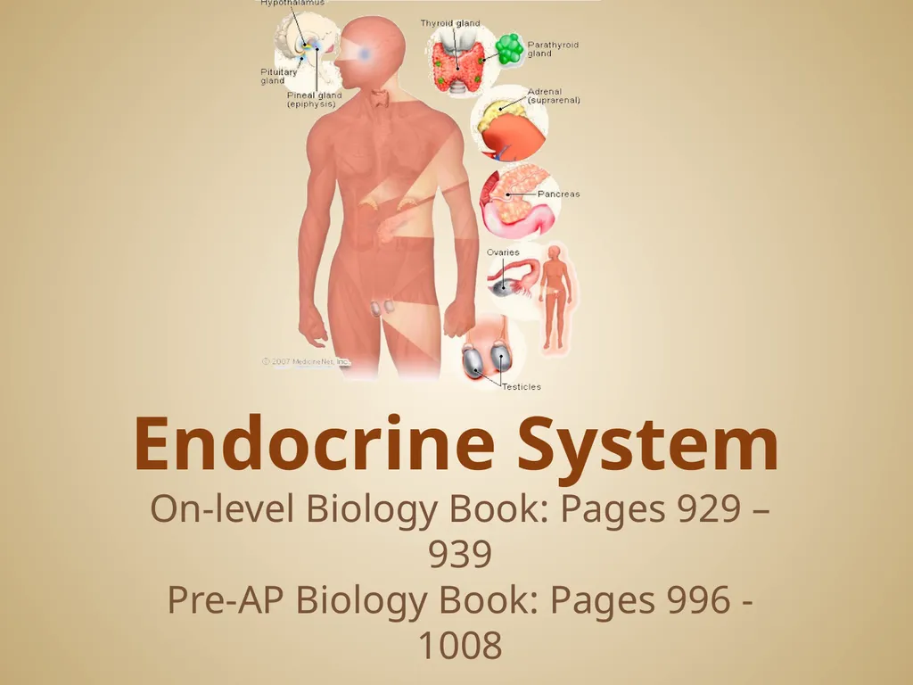 Human Body Systems On-Level Biology Book: Chapters - slide 42 of 53