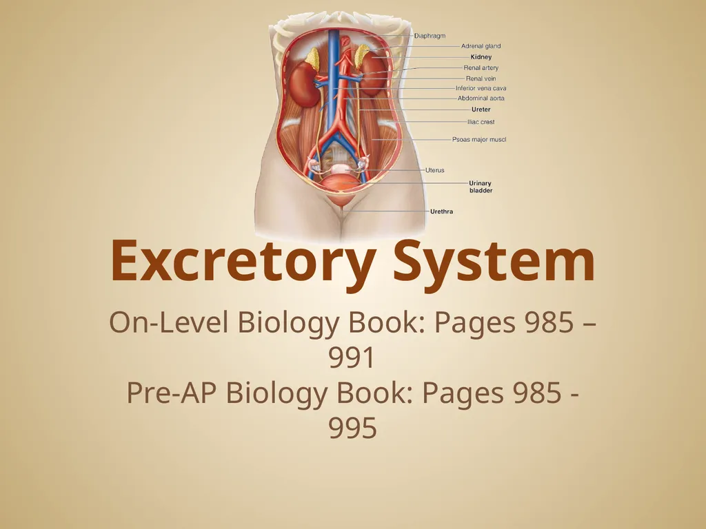 Human Body Systems On-Level Biology Book: Chapters - slide 8 of 53