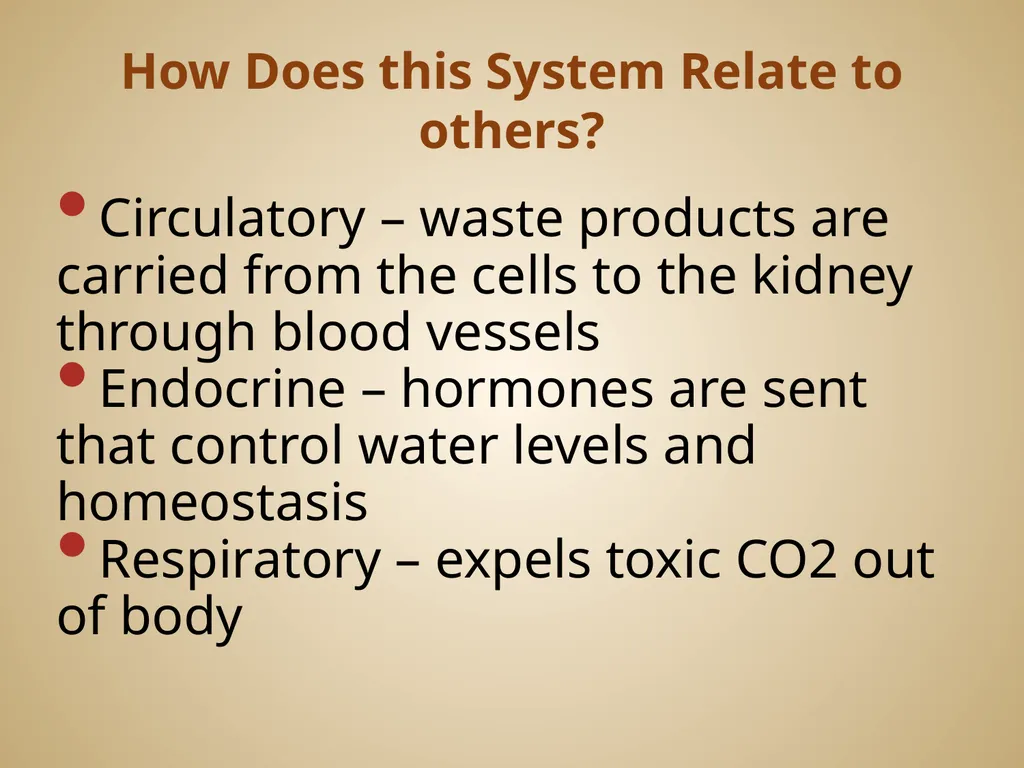 Human Body Systems On-Level Biology Book: Chapters - slide 11 of 53