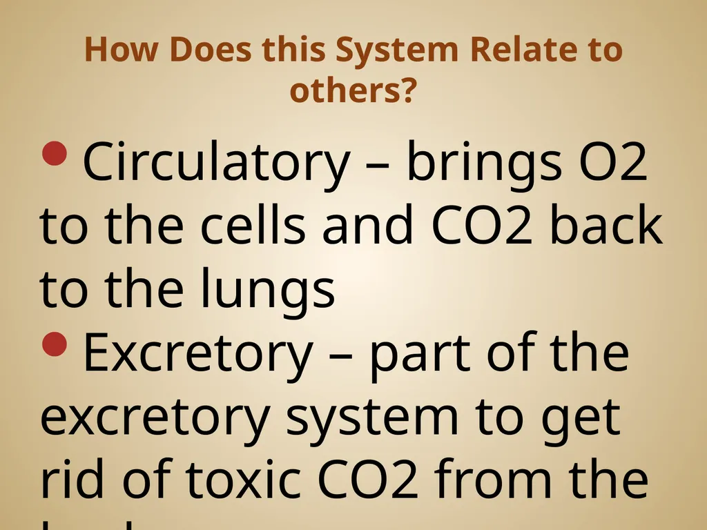 Human Body Systems On-Level Biology Book: Chapters - slide 16 of 53