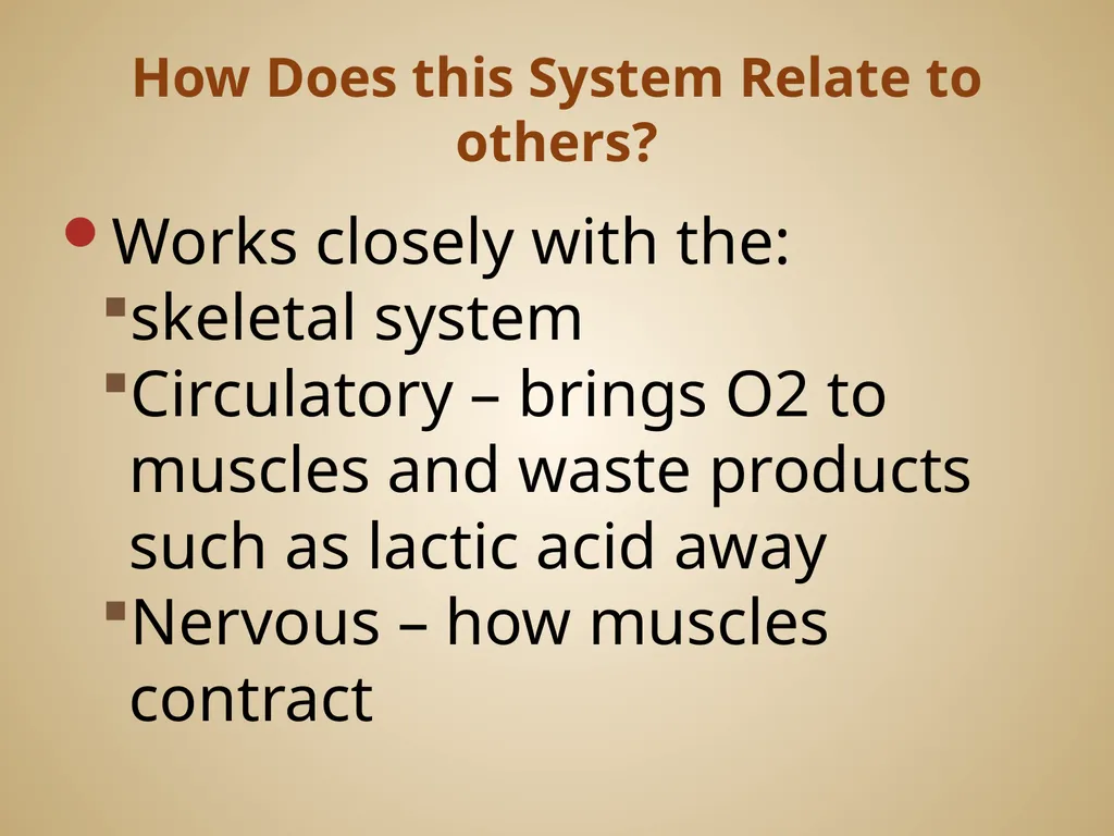 Human Body Systems On-Level Biology Book: Chapters - slide 28 of 53