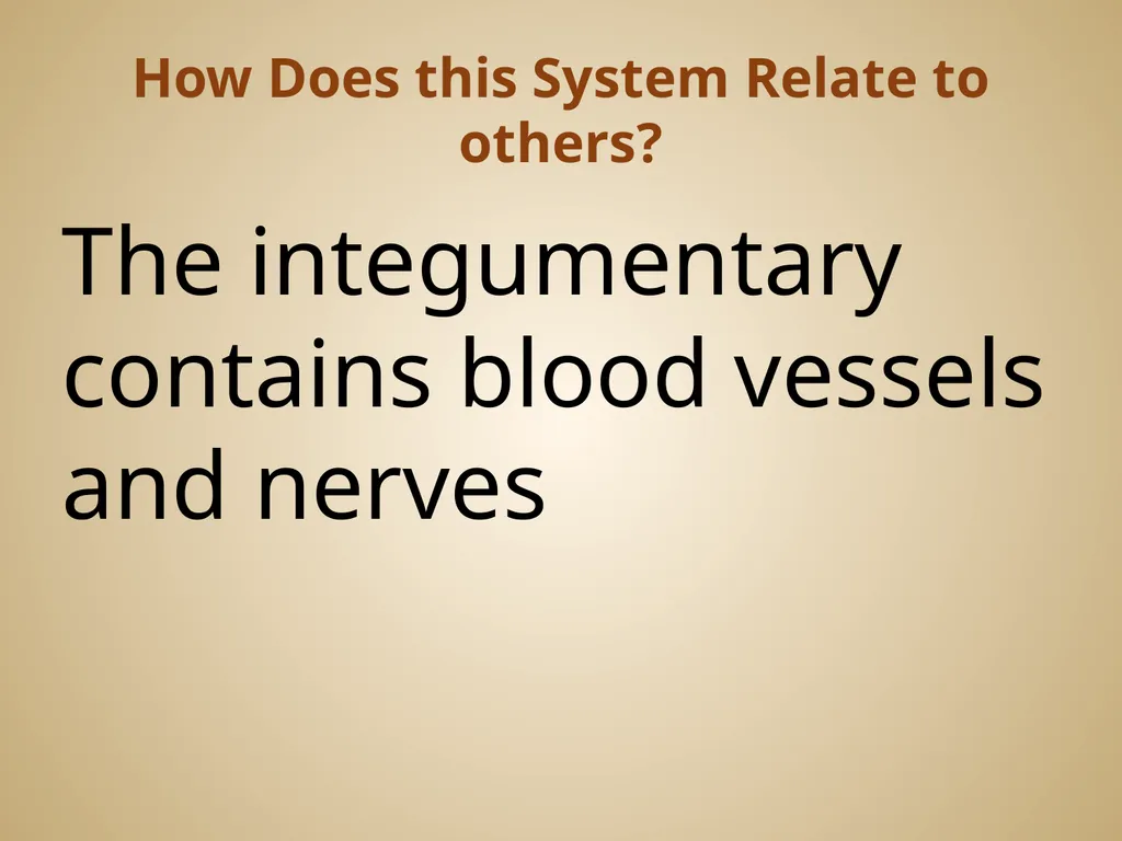 Human Body Systems On-Level Biology Book: Chapters - slide 37 of 53