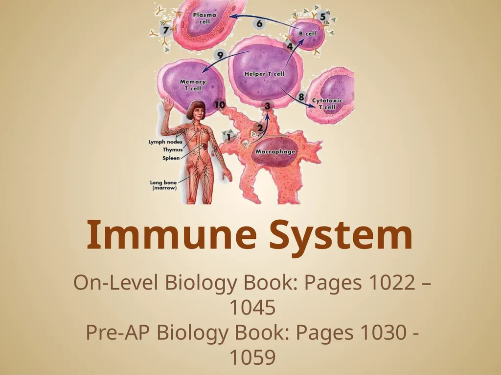 Human Body Systems On-Level Biology Book: Chapters - slide 38 of 53