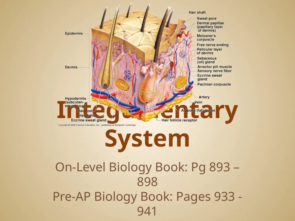 Human Body Systems On-Level Biology Book: Chapters - slide 34 of 53