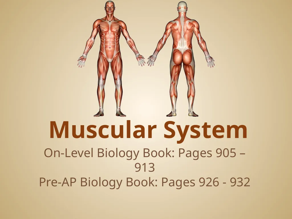 Human Body Systems On-Level Biology Book: Chapters - slide 25 of 53