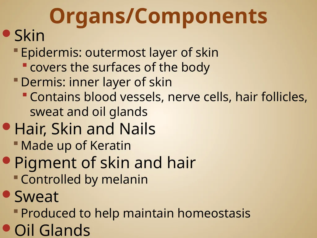 Human Body Systems On-Level Biology Book: Chapters - slide 36 of 53