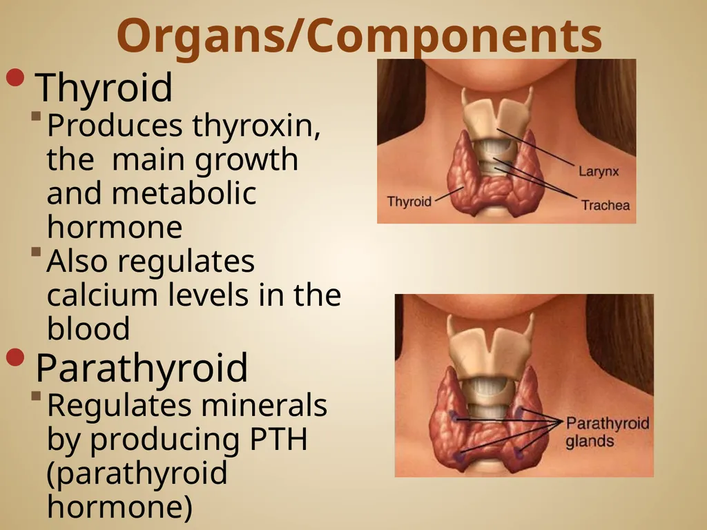 Human Body Systems On-Level Biology Book: Chapters - slide 45 of 53