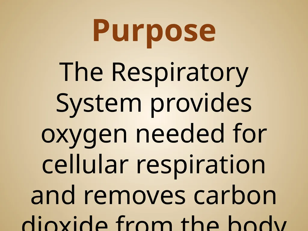 Human Body Systems On-Level Biology Book: Chapters - slide 13 of 53
