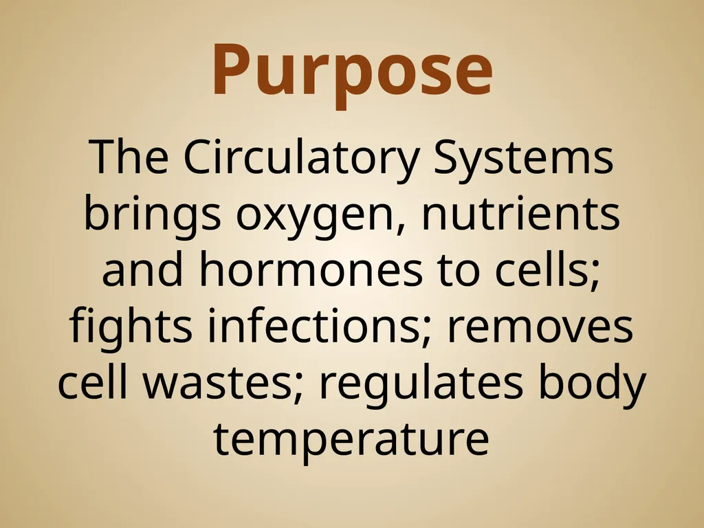 Human Body Systems On-Level Biology Book: Chapters - slide 18 of 53