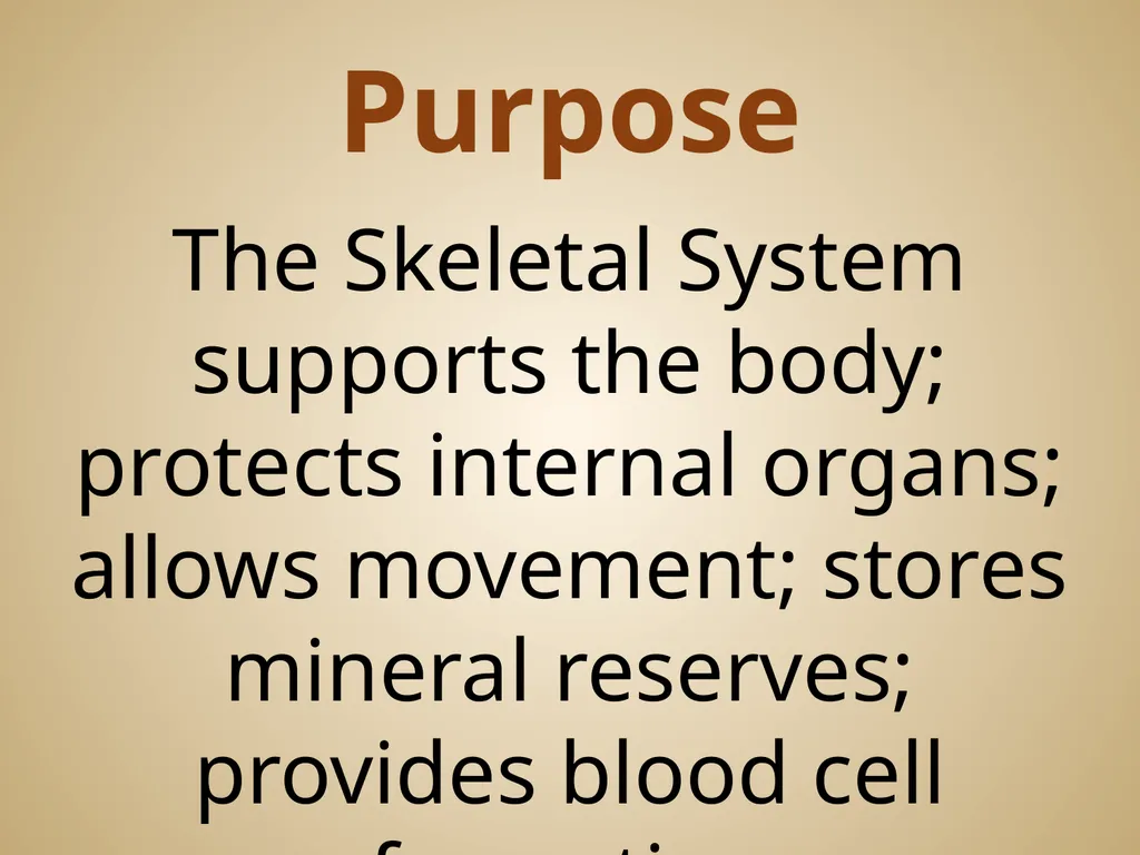 Human Body Systems On-Level Biology Book: Chapters - slide 22 of 53