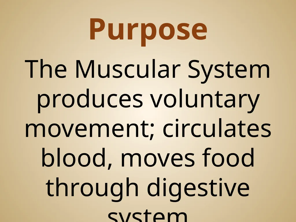 Human Body Systems On-Level Biology Book: Chapters - slide 26 of 53