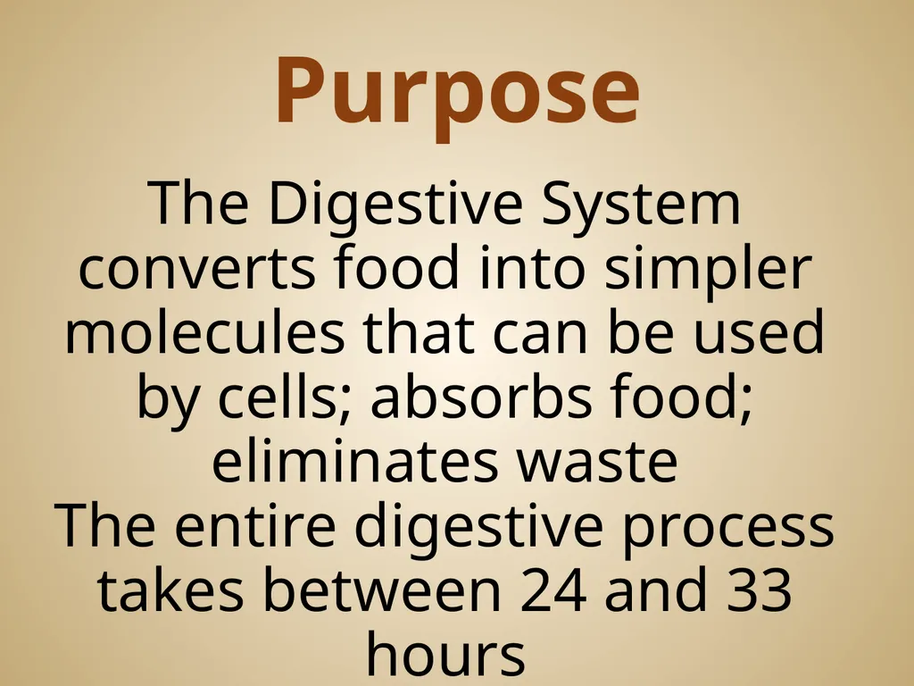 Human Body Systems On-Level Biology Book: Chapters - slide 3 of 53