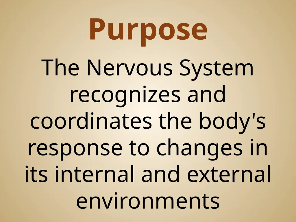 Human Body Systems On-Level Biology Book: Chapters - slide 30 of 53