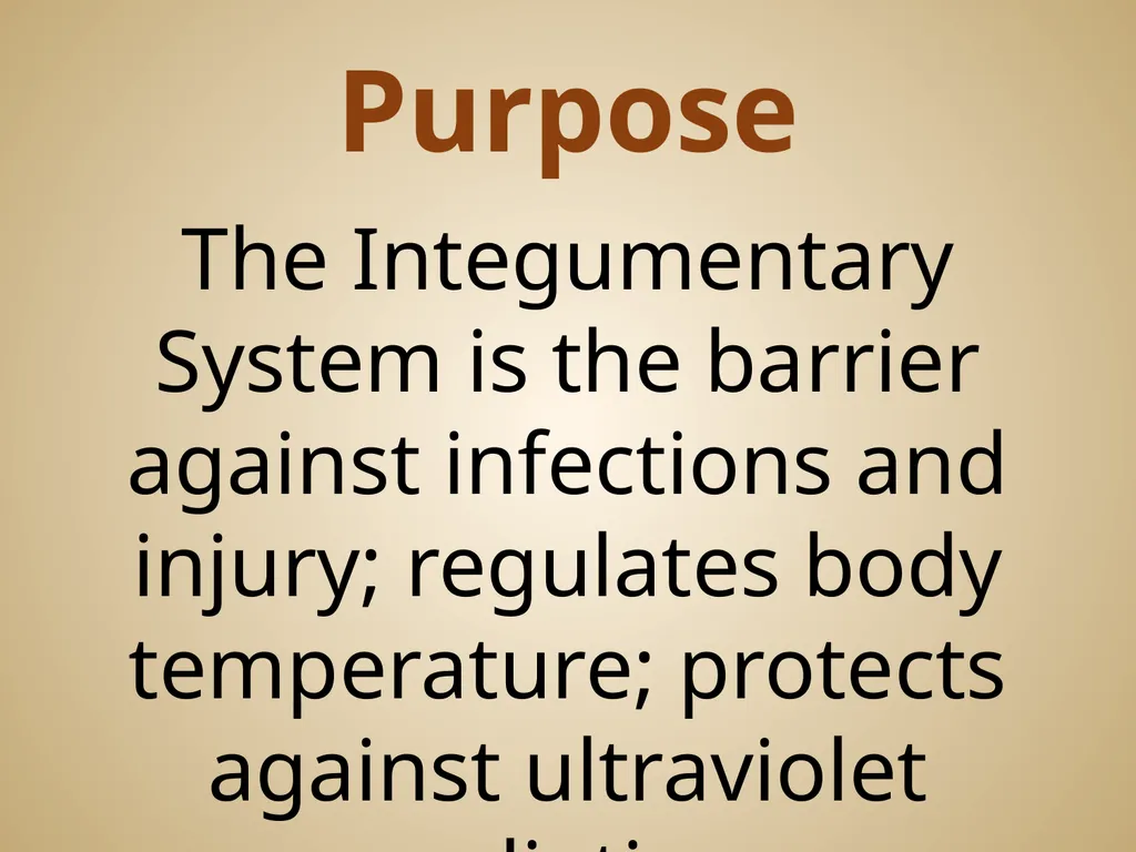 Human Body Systems On-Level Biology Book: Chapters - slide 35 of 53