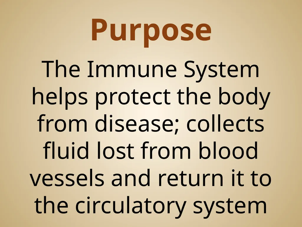 Human Body Systems On-Level Biology Book: Chapters - slide 39 of 53