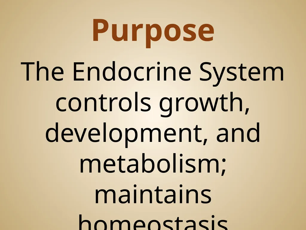 Human Body Systems On-Level Biology Book: Chapters - slide 43 of 53