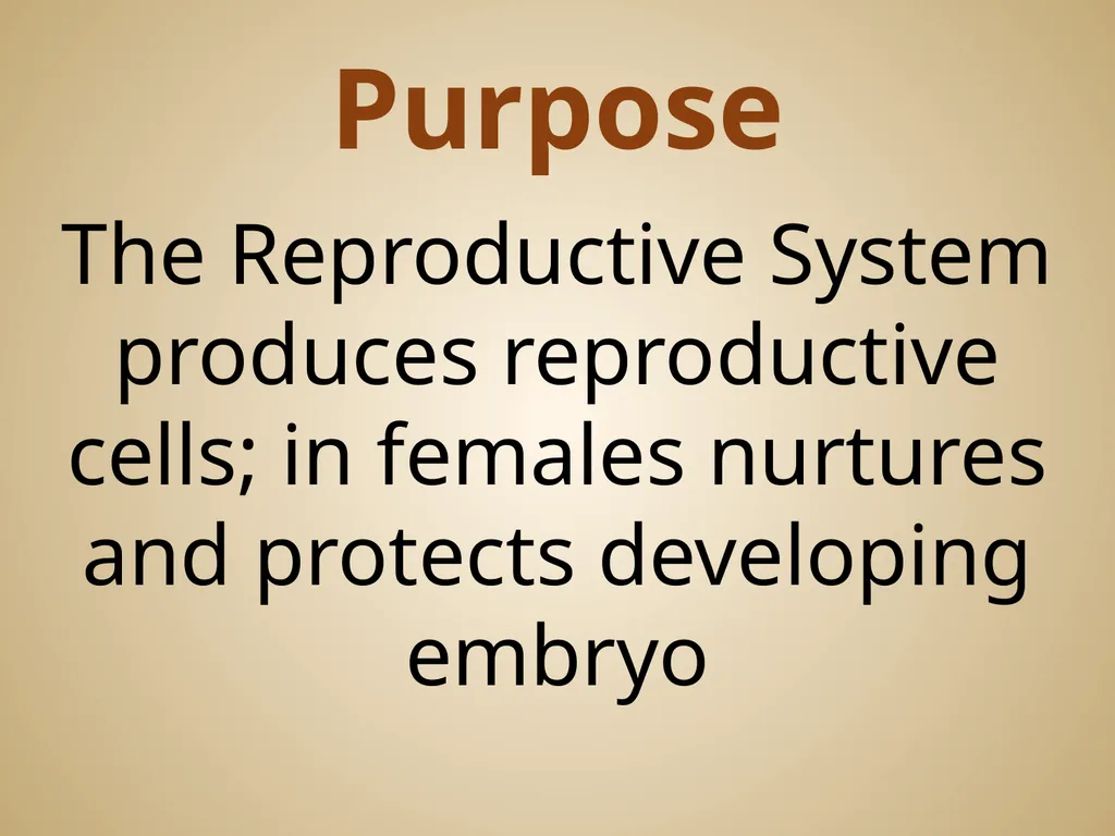 Human Body Systems On-Level Biology Book: Chapters - slide 50 of 53