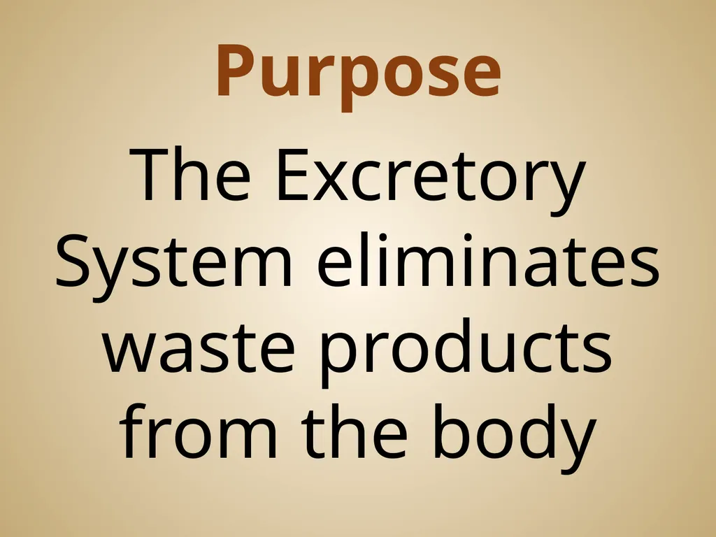 Human Body Systems On-Level Biology Book: Chapters - slide 9 of 53