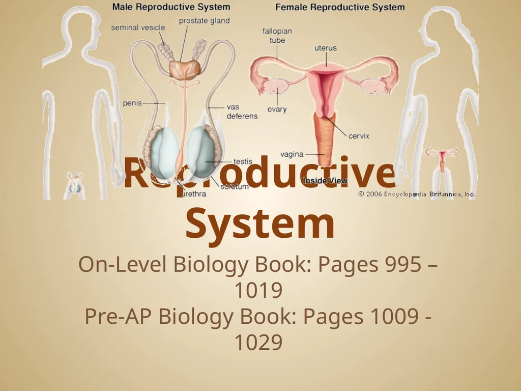 Human Body Systems On-Level Biology Book: Chapters - slide 49 of 53