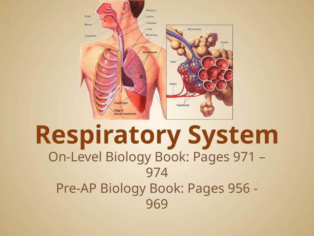 Human Body Systems On-Level Biology Book: Chapters - slide 12 of 53