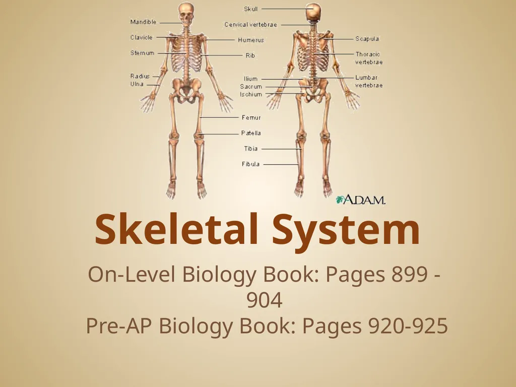 Human Body Systems On-Level Biology Book: Chapters - slide 21 of 53