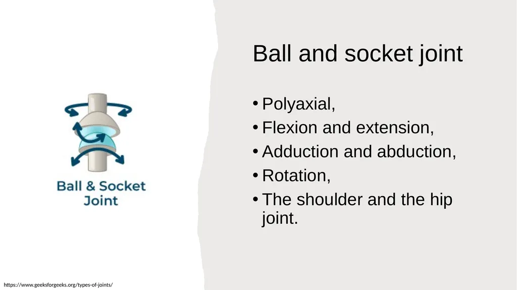 The Joints Prepared by: Julia Dudek 3rd year of - slide 8 of 17