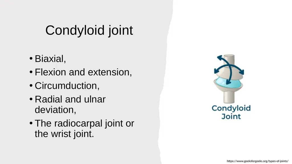 The Joints Prepared by: Julia Dudek 3rd year of - slide 11 of 17