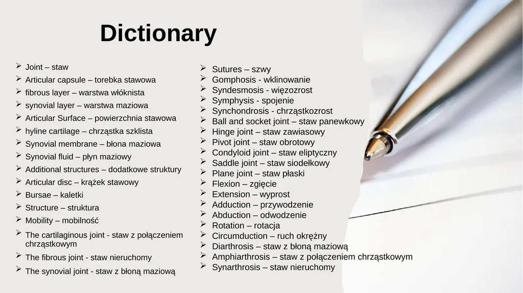 The Joints Prepared by: Julia Dudek 3rd year of - slide 14 of 17