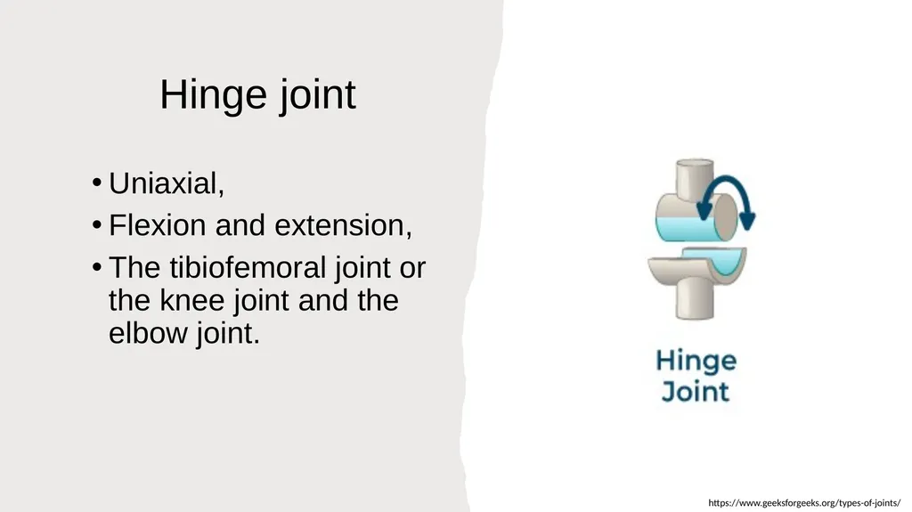 The Joints Prepared by: Julia Dudek 3rd year of - slide 9 of 17
